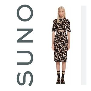 SUNO Cut-Out Silk Dress Size 4